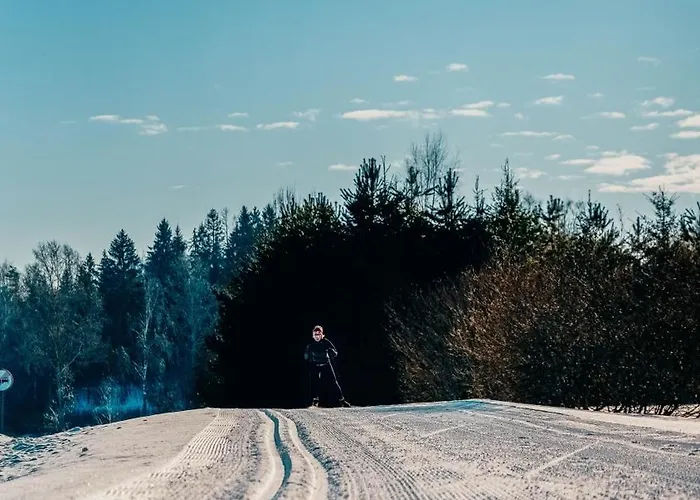 بيت للعطل Juusa *